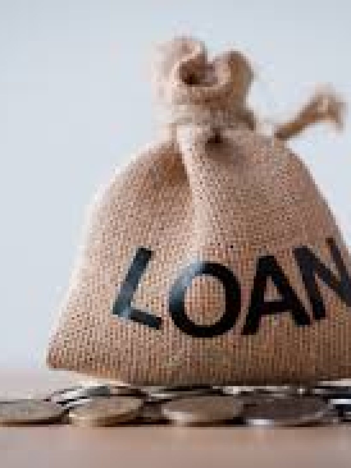LOANS